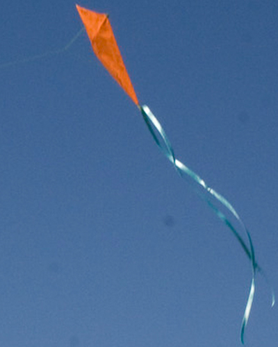 Kite in Flight